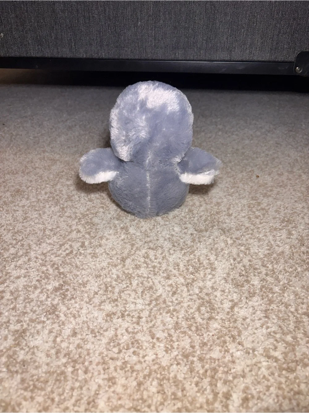 Plush Gray Fish Toy for Pets - Soft Plush Chew Toy